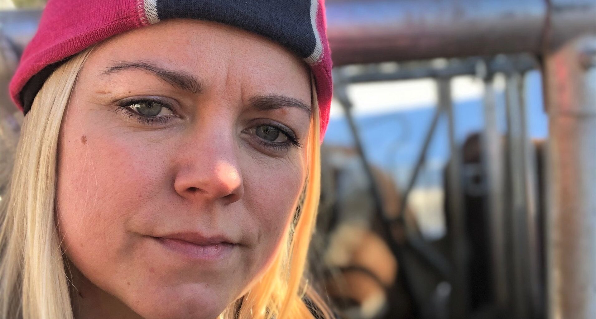 Bovaer, Telemark bondelag | – Forstår at Bovaer-pause er på sin plass