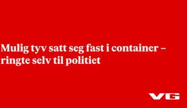 Mulig tyv satt seg fast i container – ringte selv til politiet