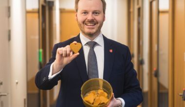 Slakter «forbudet» mot pepperkakepynting: – Et skikkelig dusteforbud - s-n.no