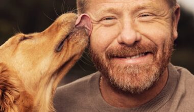 Hundetrener: Unngå nyttårsmareritt for hunden - VG