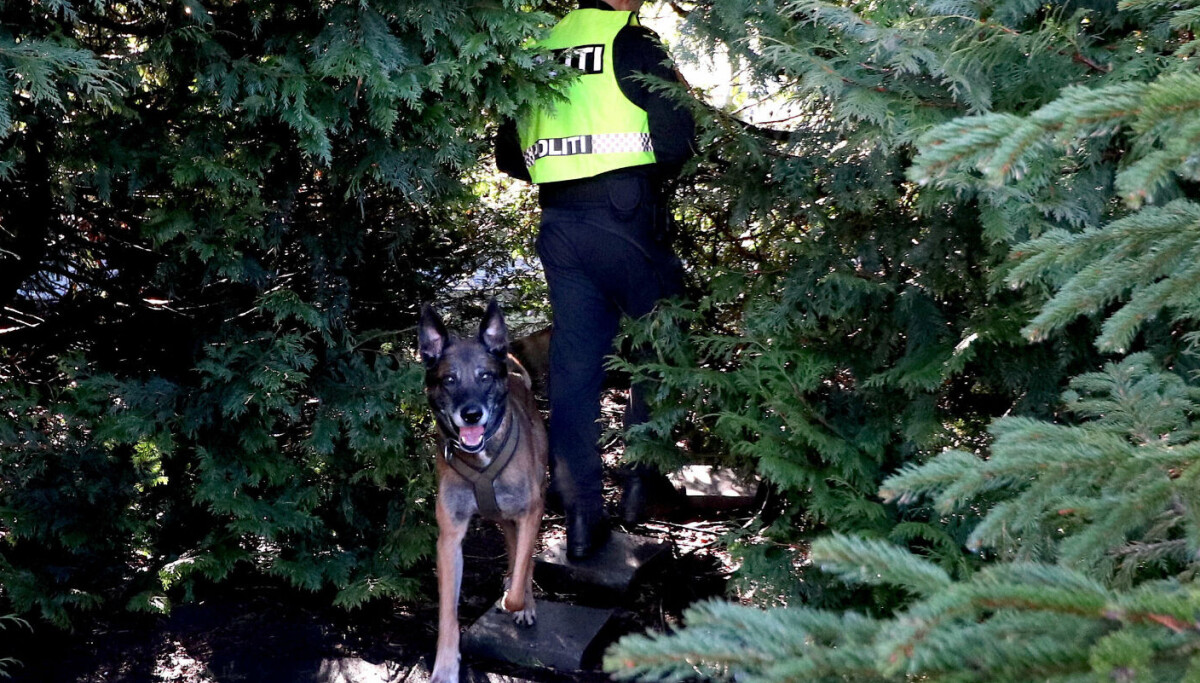 Hundepatruljen fann mann som stakk til skogs
