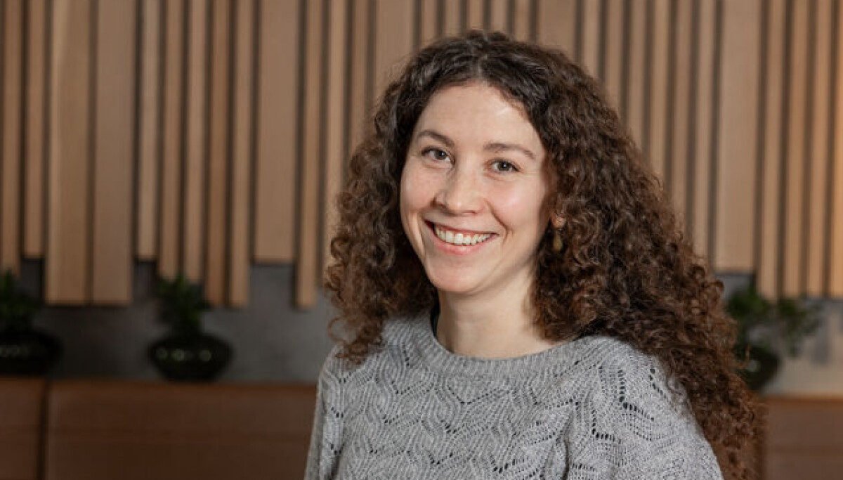 Artikkel om vindskala mest lest i 2025. SNL-sjefen er flau over nummer to på lista