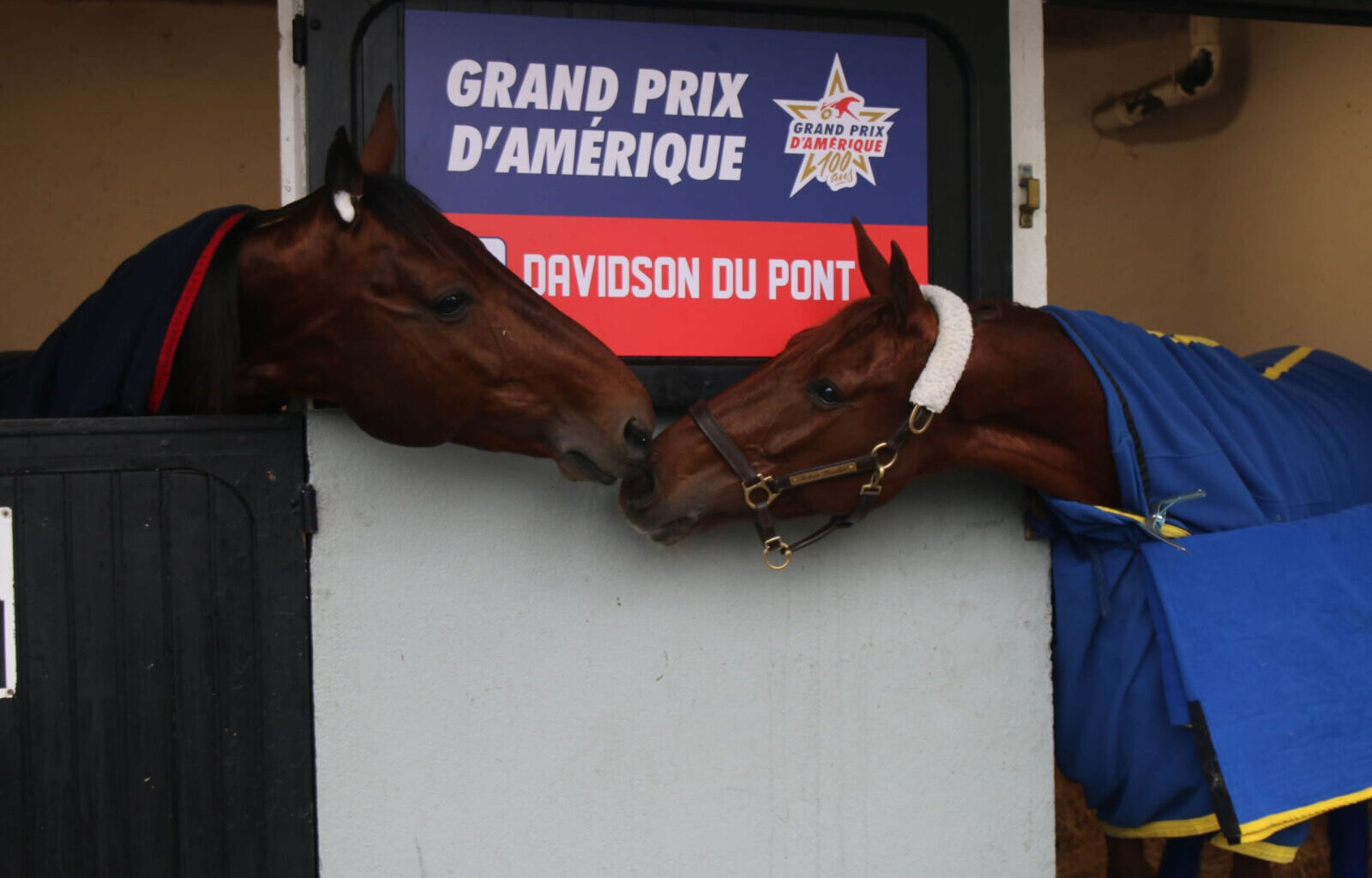 – Du får det til bedre enn meg, Belina! / Ga ni millioner for åring