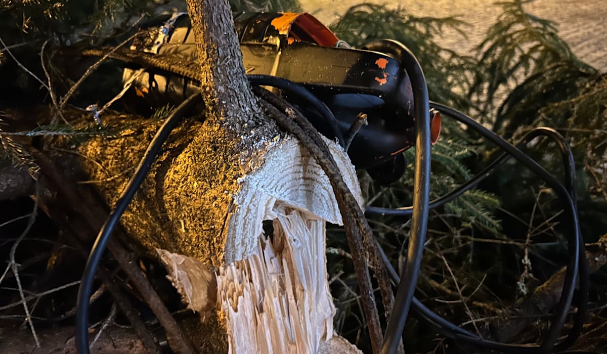 (+) Julegrana sagd ned igjen: – Folk må være galne - fvn.no