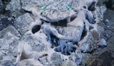 Væske strømmer ut fra jordas indre nær Norges dypeste hull