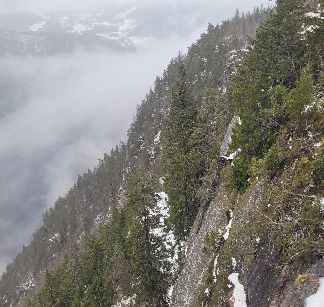 Advarer folk mot å lete selv