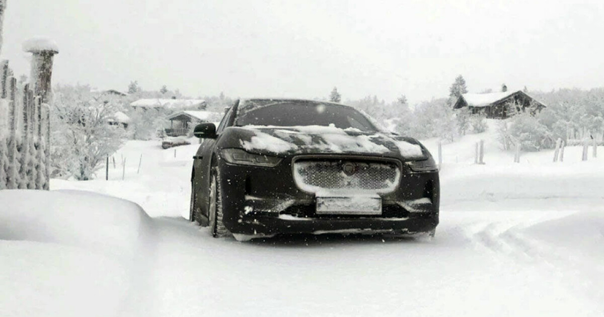 Disse bilmerkene har flest skader