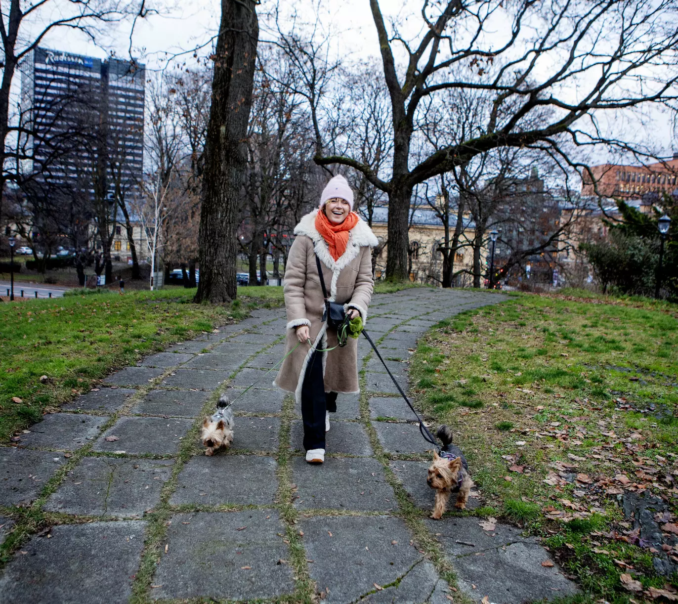 TRE PELSKLEDDE: Det er de små pelsdottene som får styre showet når Sissel er på luftetur i Slottsparken. Foto: Kristin Svorte.