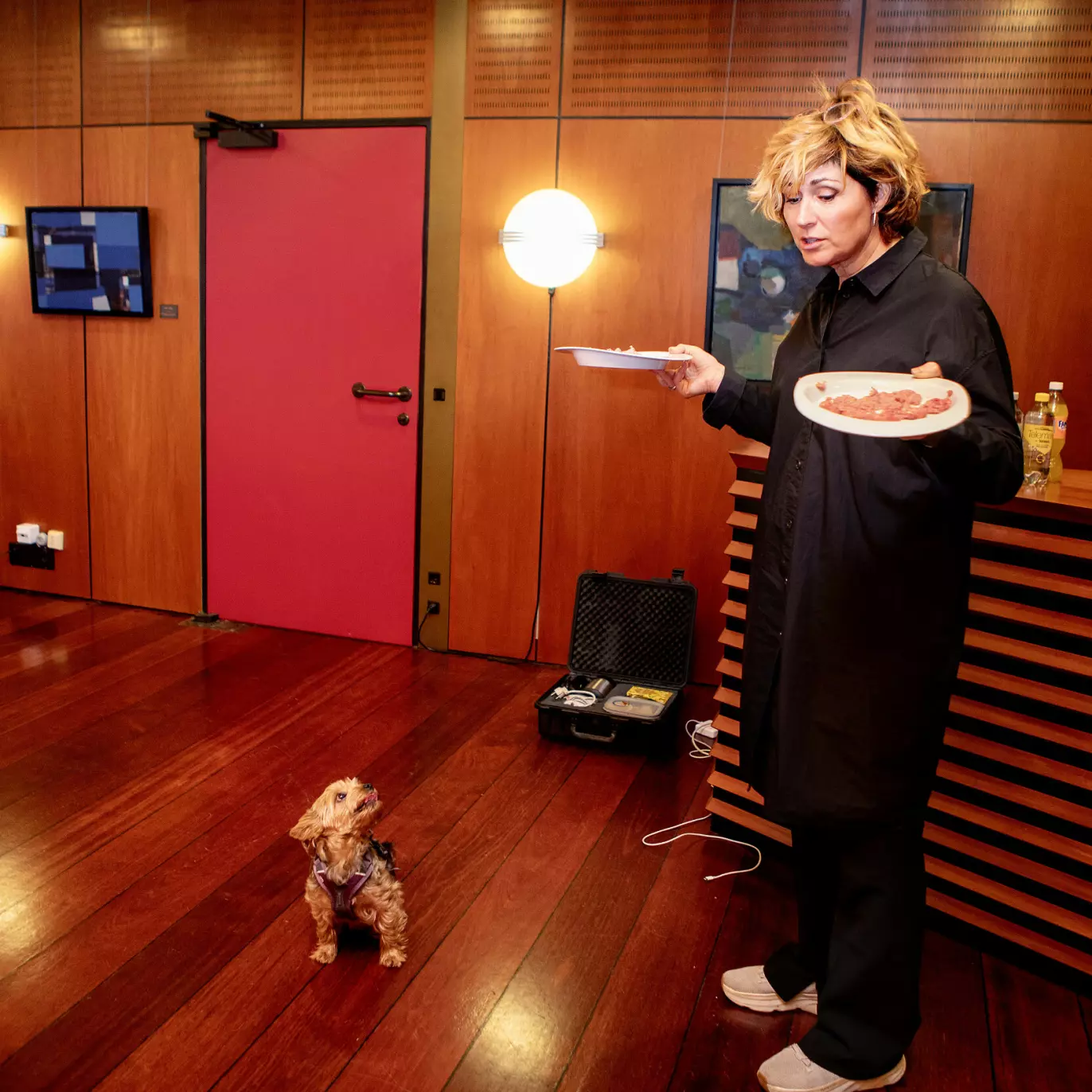 HUNDEHVISKER: «Stay» sier hun til de små, før maten kommer på gulvet. - Vi er litt språkforvirra hele gjengen, så de har lært seg å respondere på flere språk, ler hundemoren. Foto: Kristin Svorte.