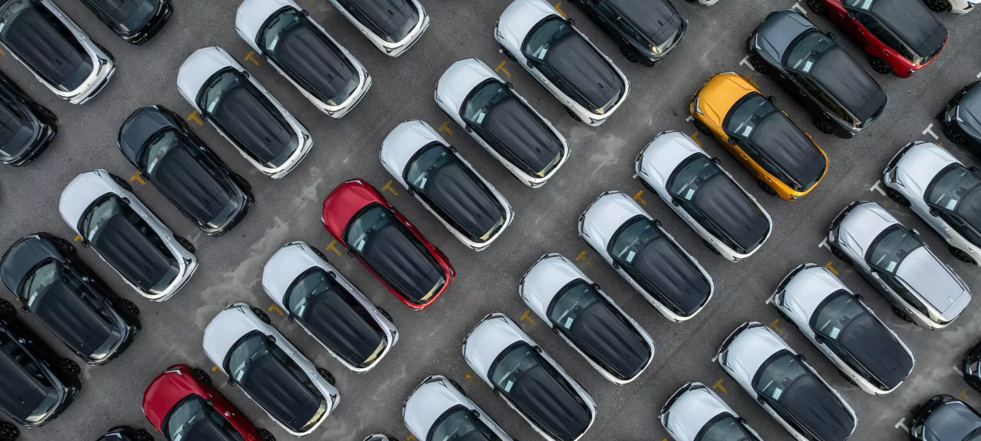 Flere lar deg slippe moms