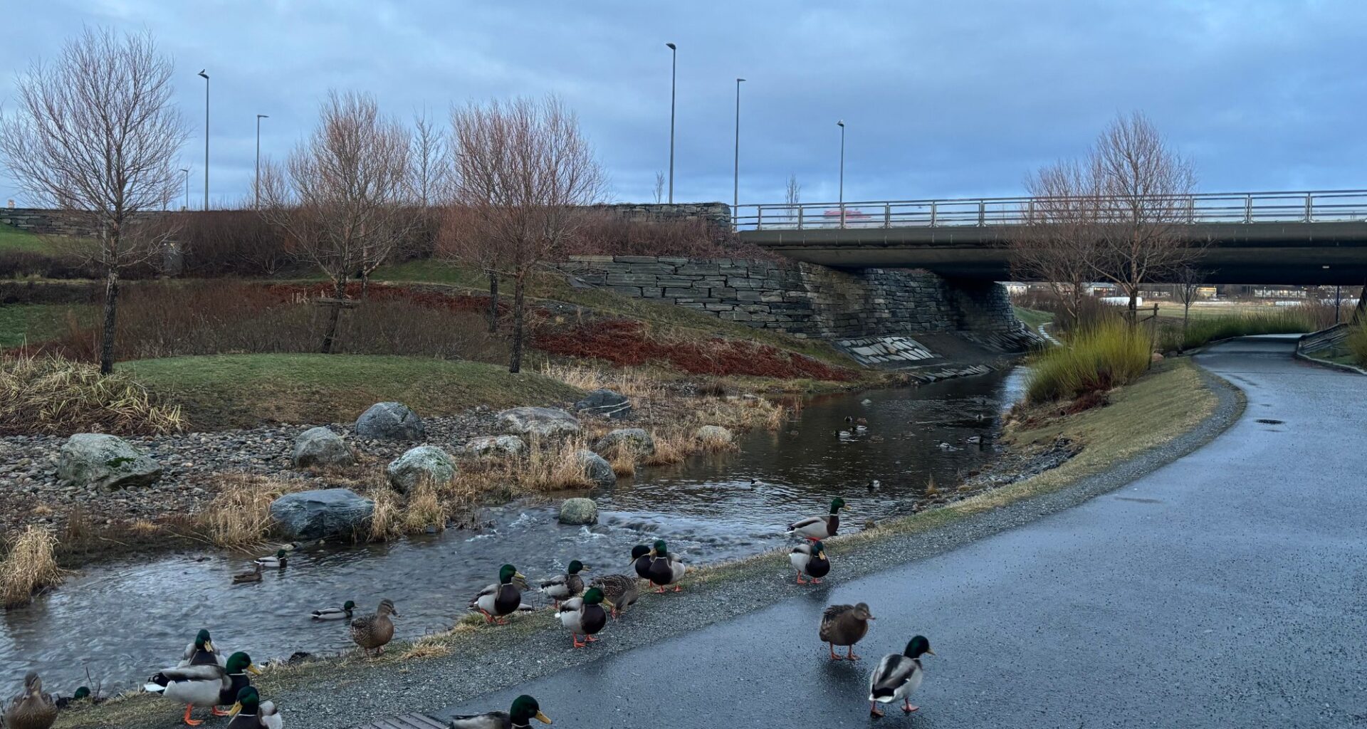 Trafikk, Bodøtunnelen | Rykker ut etter ande-melding: – Vær obs!