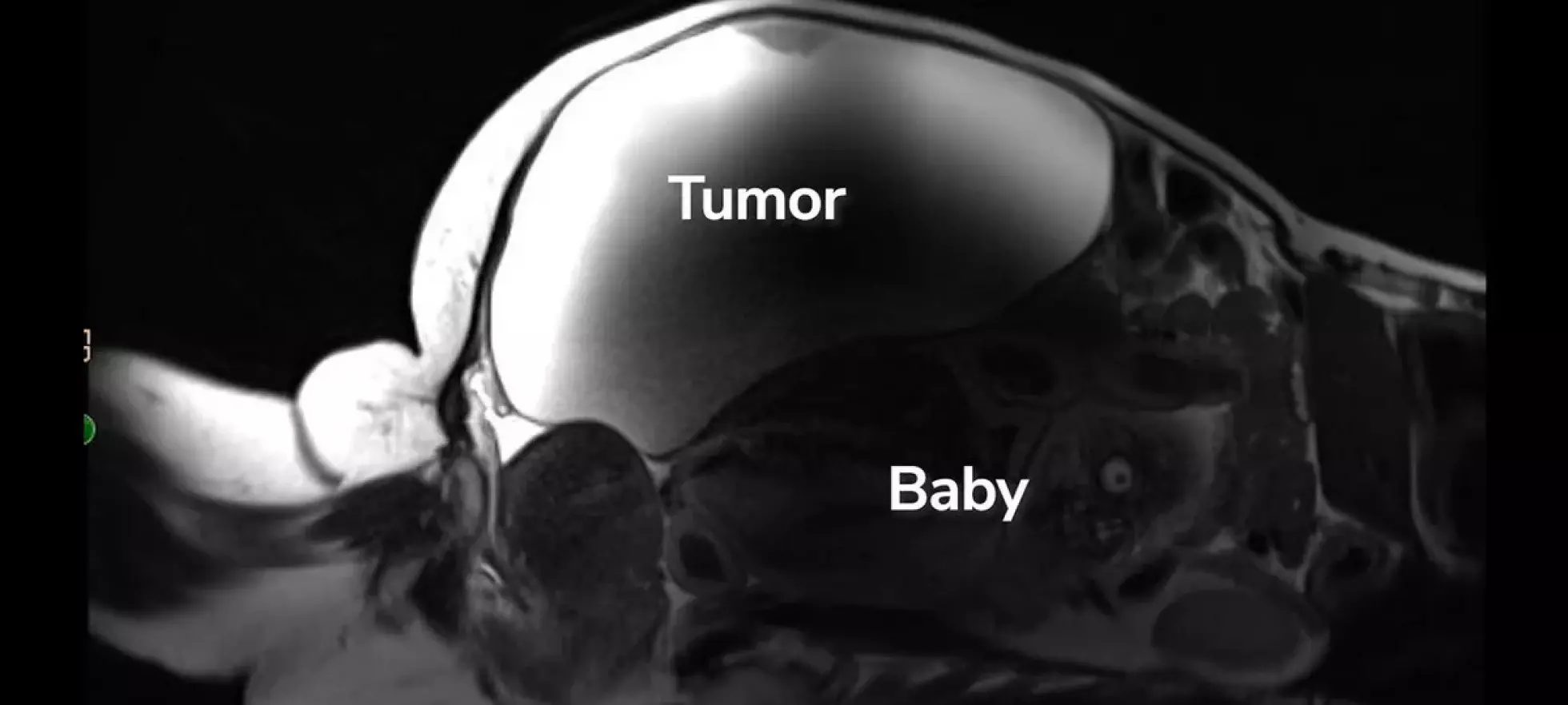 - Kunne ikke tro det