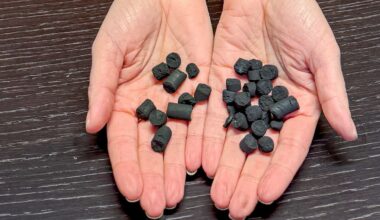 Disse kulene kan erstatte fossilt kull i norsk industri