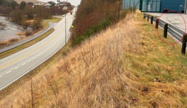 Sprekkene i asfalten ses oppe til høyre. E39 til venstre. Foto: Morten Hage, Statens vegvesen