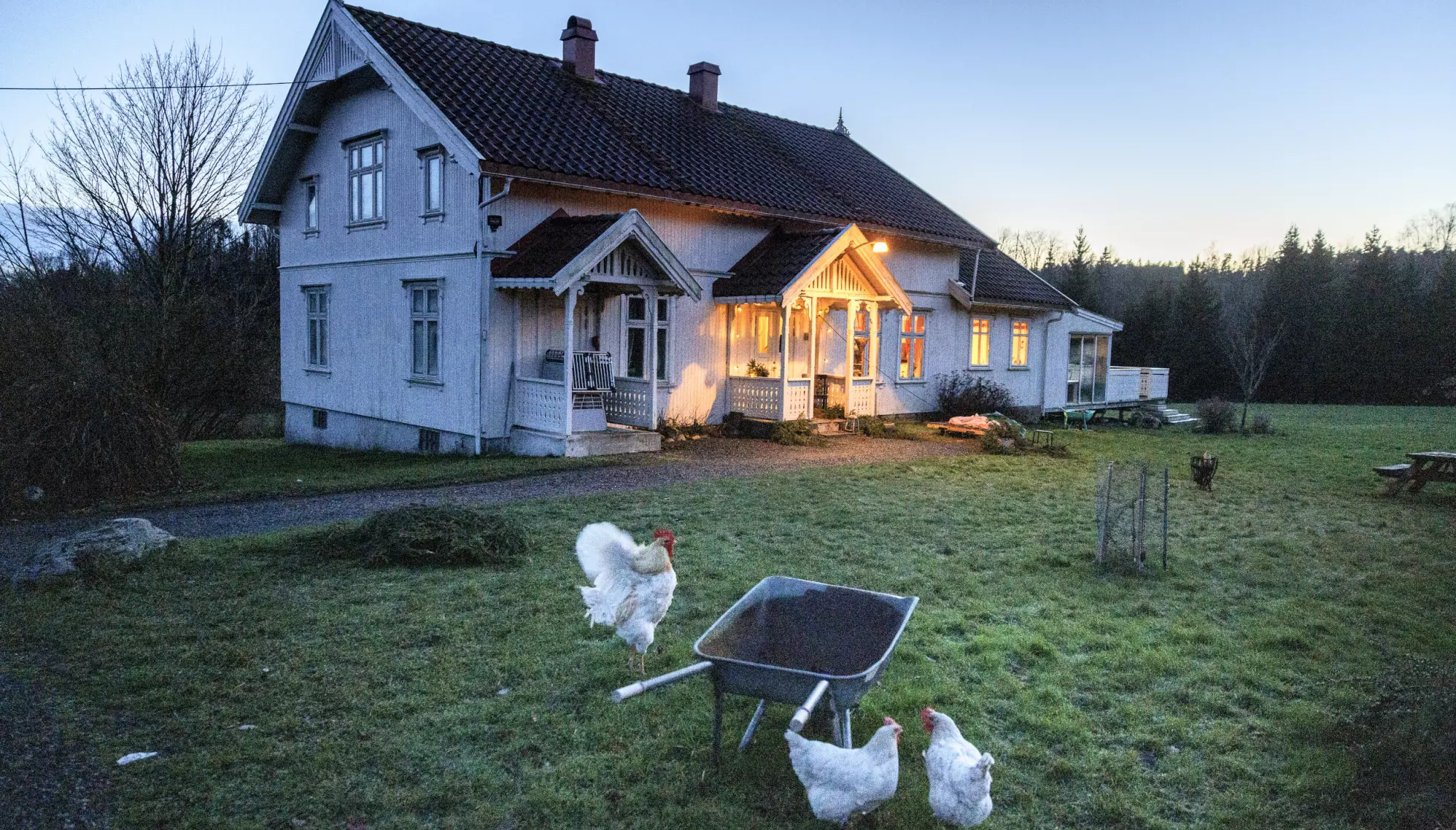 HER VOKSTE HAN OPP: Høner, hunder, katter og rådyr var aldri langt unna i oppveksten. Foto: Lars Eivind Bones / Dagbladet