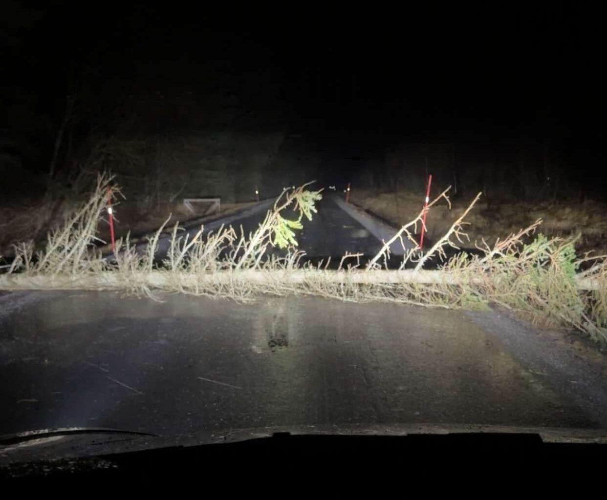 Strømbrudd, Hemnes | Beboere er strømløse i Rana og Hemnes, innstilte ferjer, trær sperrer veier og tunneler