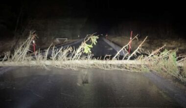 Strømbrudd, Hemnes | Beboere er strømløse i Rana og Hemnes, innstilte ferjer, trær sperrer veier og tunneler