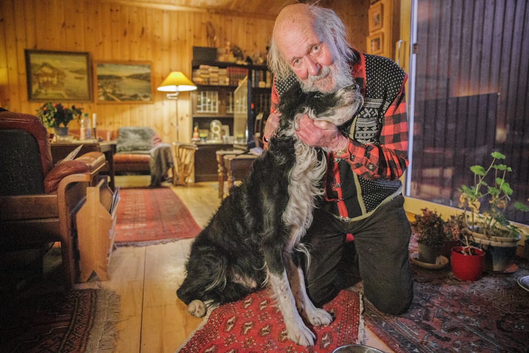 Hunden Bamse (14) funnet – politiet avhører kvinne