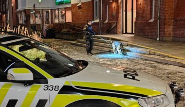 En politi i uniform står med en hund på en gatebelyst plass. Hunden snuser på bakken ved en trapp. I forgrunnen er en politibil med tydelig merking synlig. Omgivelsene inkluderer en bygning med synlige vinduer og en søppelbøtte. (Bildebeskrivelsen er laget av en KI-tjeneste)