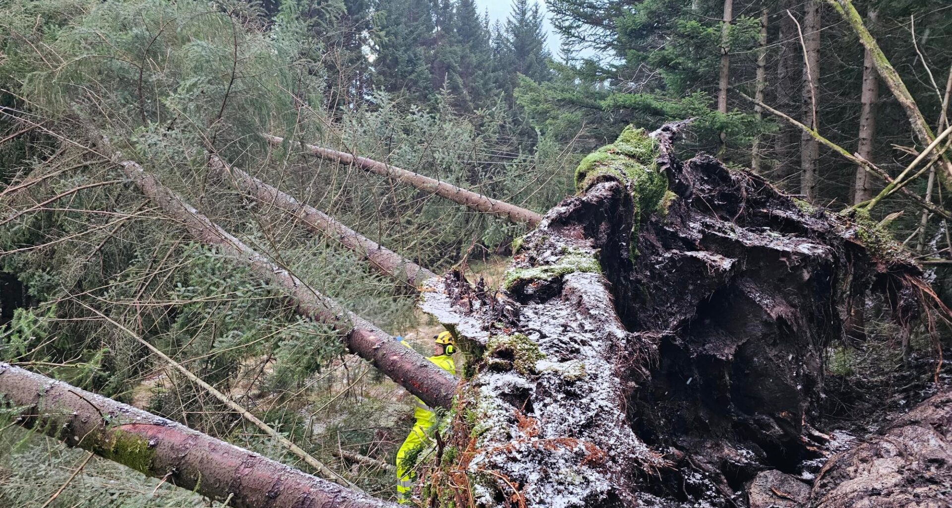 Linea, Strømbrudd | Ny status fra Linea: – Vi har stor forståelse for frustrasjonen mange føler når strømmen er borte over tid