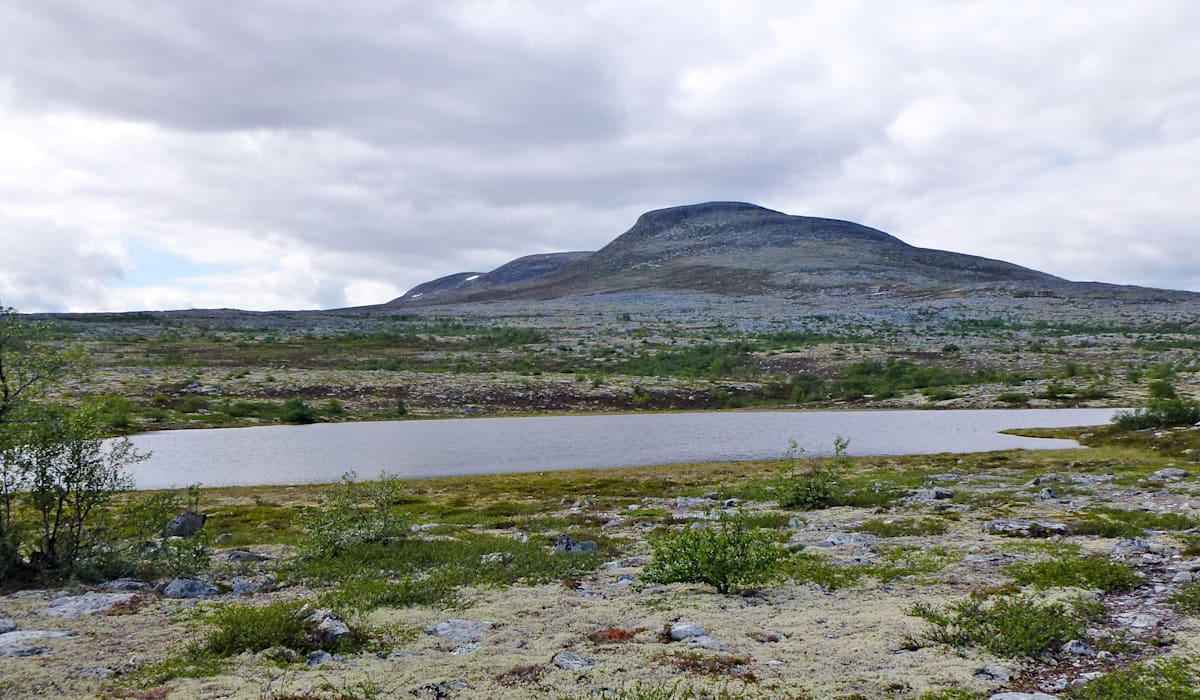 «Hvis dere ikke lar være å dra inn dit, så kommer dere ikke ned igjen» - adressa.no