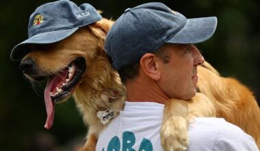Argentina setter verdensrekord med 2397 golden retrievere
