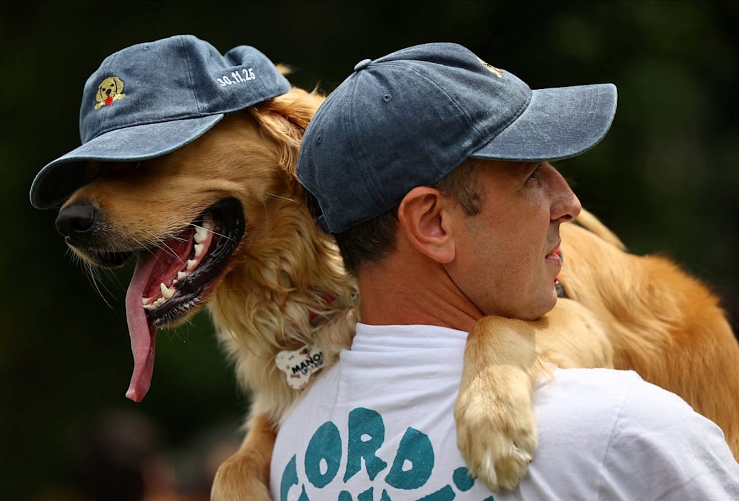 Argentina setter verdensrekord med 2397 golden retrievere