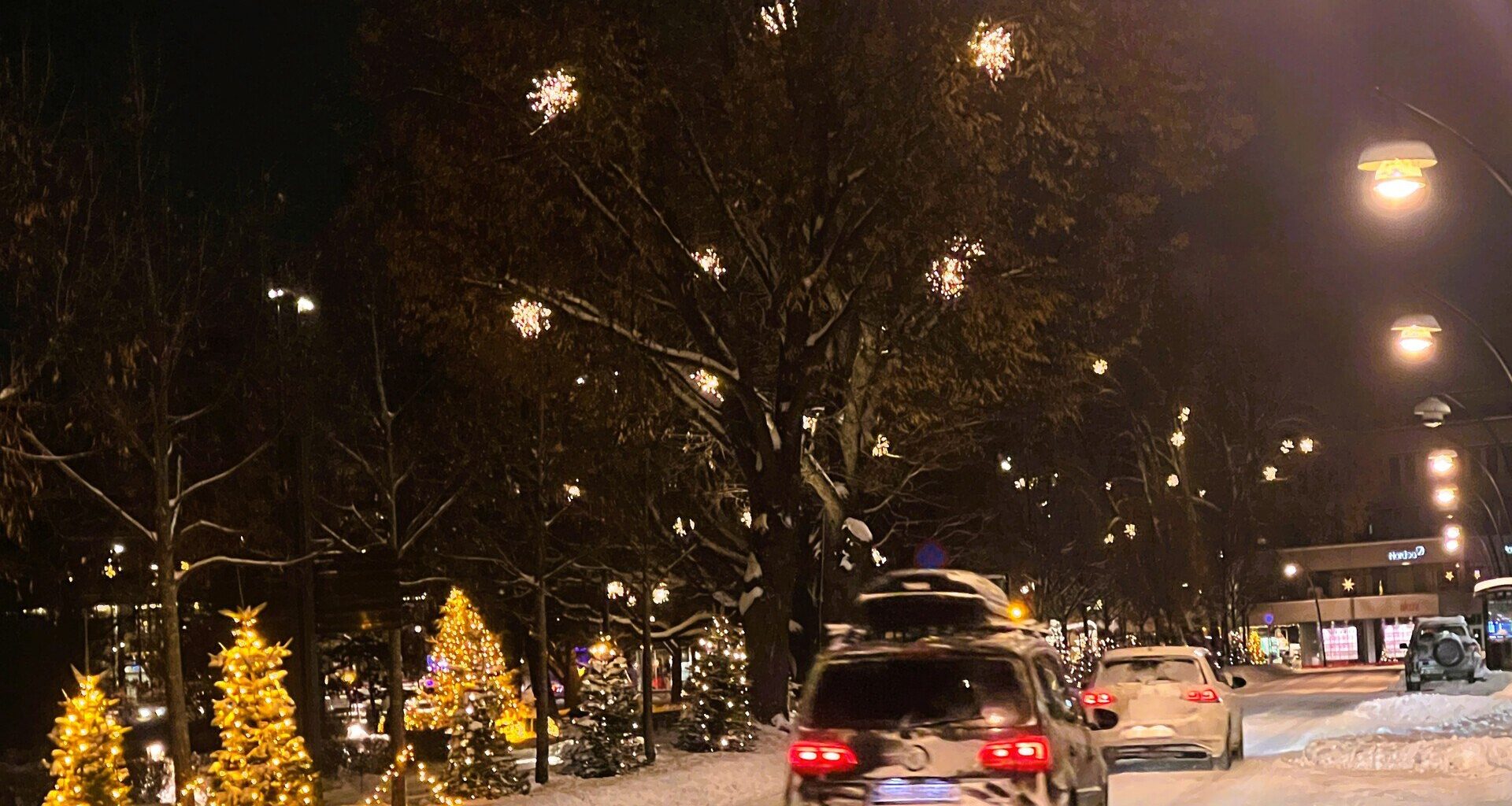 Trafikk, Reise | − La gjerne kvinnene ta over rattet