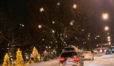 Trafikk, Reise | − La gjerne kvinnene ta over rattet