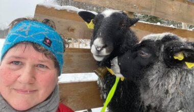 Debatt, Leserbrev | Vindkraftsaken - en ulmebrann i bygda vår