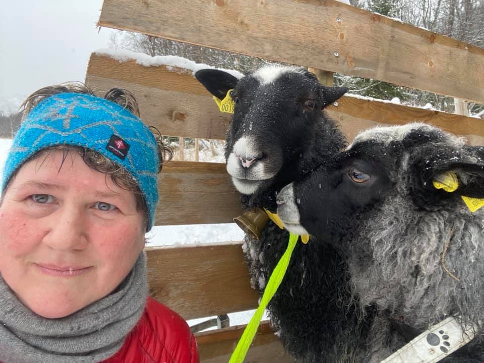 Debatt, Leserbrev | Vindkraftsaken - en ulmebrann i bygda vår