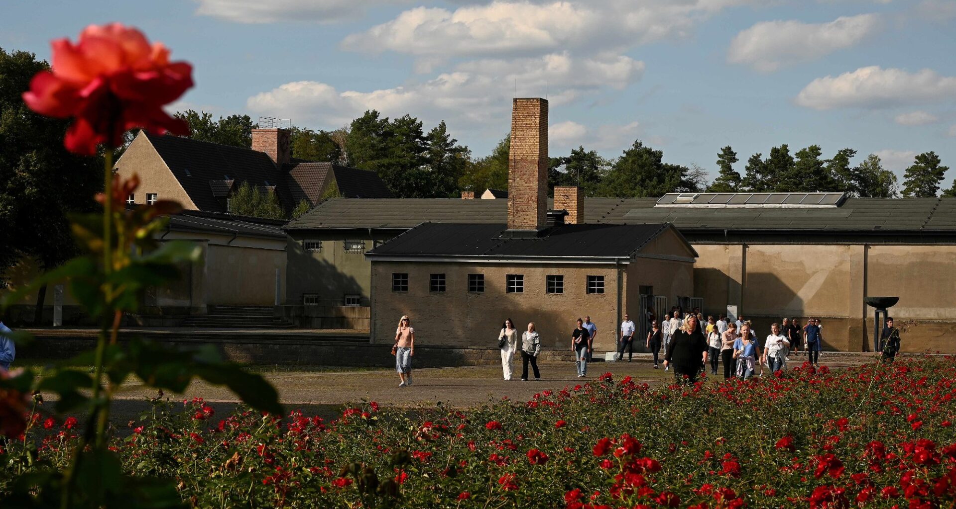Barn og unge, Skole | Bør ikke Kongseik-elever dra på klassetur med Hvite Busser?