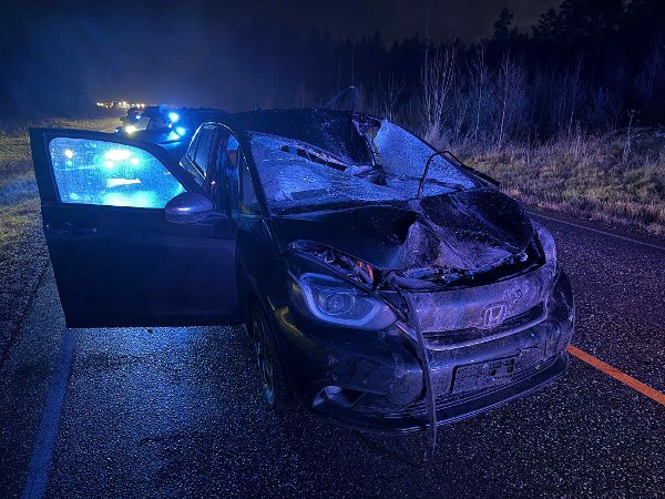 Løpsk hest, trøskenveien, trøsken, trøsken bru, kø, politi, brannvesen, ambulanse, 10.12.2025.