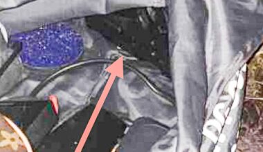 Softgun, Drammen | Fant våpen langs elva: – Ringte med en gang til politiet