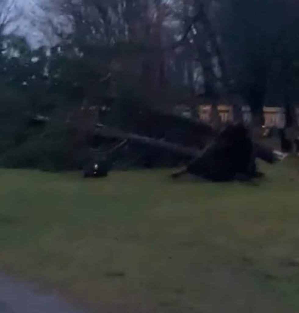 (+) Se ødeleggelsene på kirkegården - vol.no