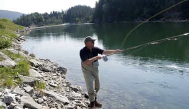 Laksefiske, Vefsna | Vefsna peker seg ut i et svakt år: – En av de beste sesongene på lenge