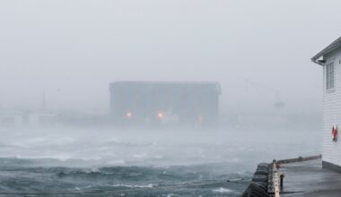 Været, Haugesund | Mildt, men venter mye vind og fare for flom