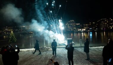 Fyrverkeri, Nyttårsaften | Debatten raser om nyttårsraketter i Tønsberg: – Hjerteskjærende - Tønsbergs Blad