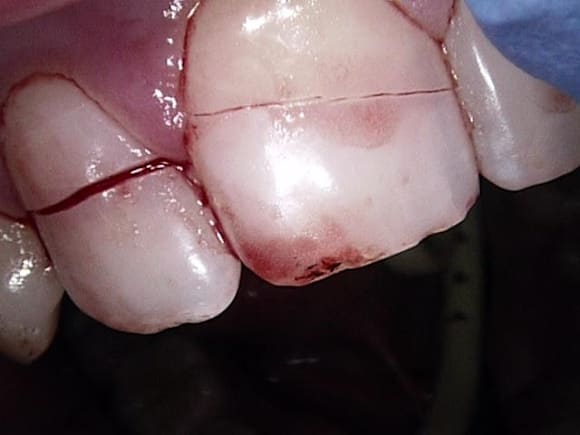 Oslo kommune tok ikke telefonen