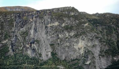 Verner skog i Molde - rbnett.no