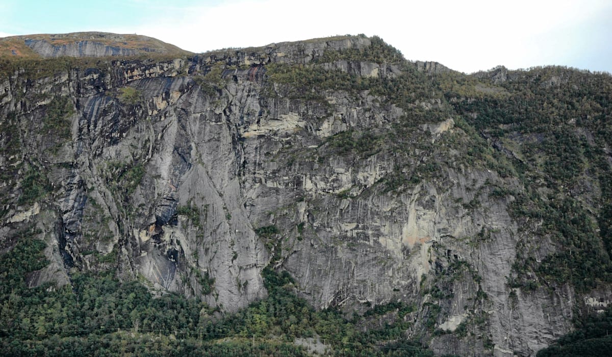 Verner skog i Molde - rbnett.no