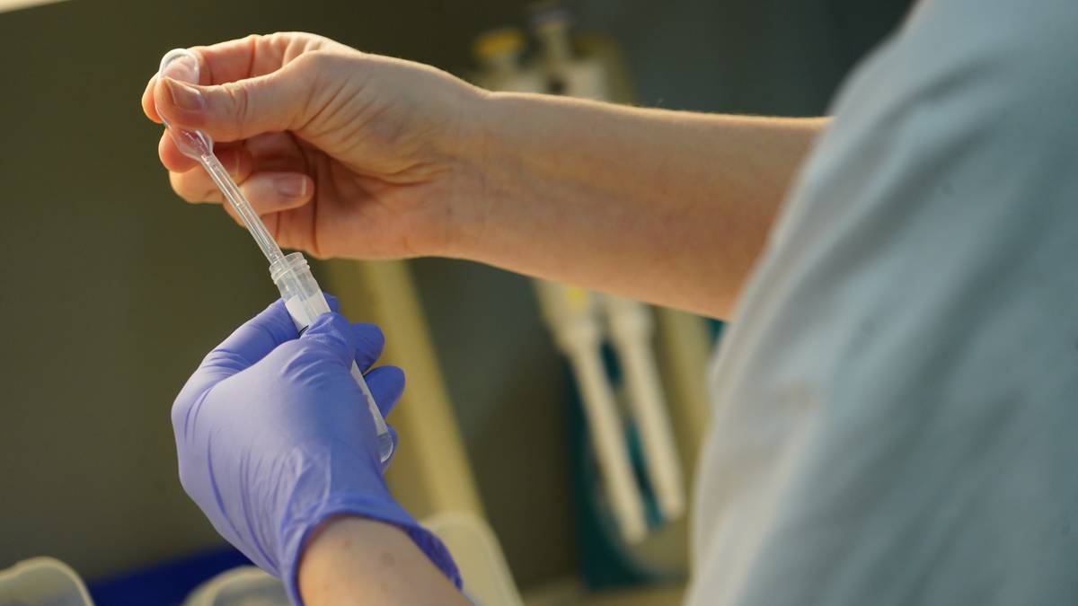 En person iført hansker holder en pipette over et prøveglass. Hendene er fokuspunktet, med tydelig aktivitet knyttet til prøvetaking. Omgivelsene er laboratoriemessige, med pipetter og beholdere synlig i bakgrunnen. Bildet illustrerer et typisk arbeidsmoment i laboratorieforskning. (Bildebeskrivelsen er laget av en KI-tjeneste)