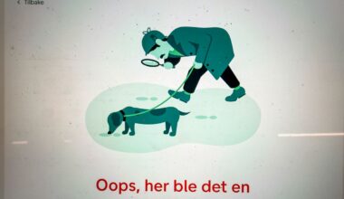 Alle DNB-systemer fungerer som normalt etter kortproblemer