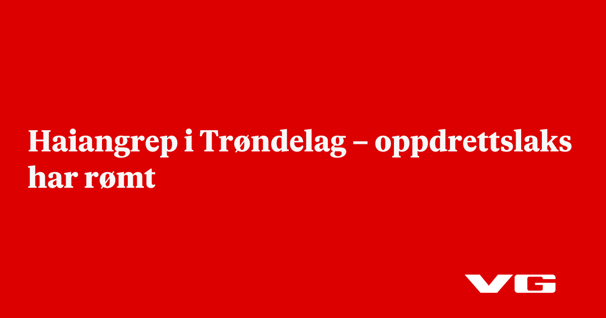 Haiangrep i Trøndelag – oppdrettslaks har rømt