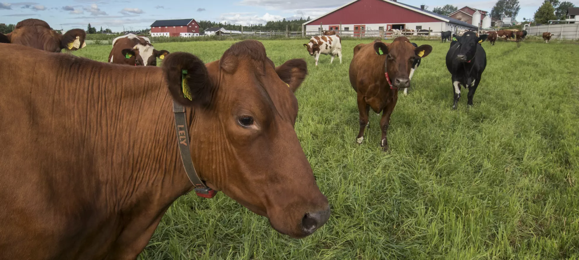 Stanser bruk umiddelbart