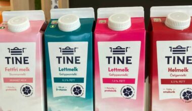Tine har ikke sluttet med Bovaer – melk fra forskningskyr havner fortsatt i butikk