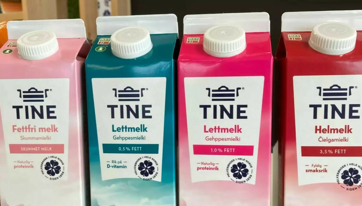 Tine har ikke sluttet med Bovaer – melk fra forskningskyr havner fortsatt i butikk