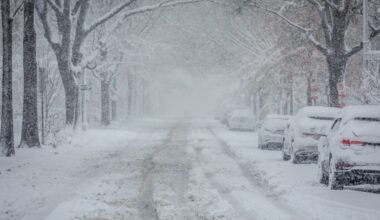 - Ingenting som minner om jul - Dagbladet