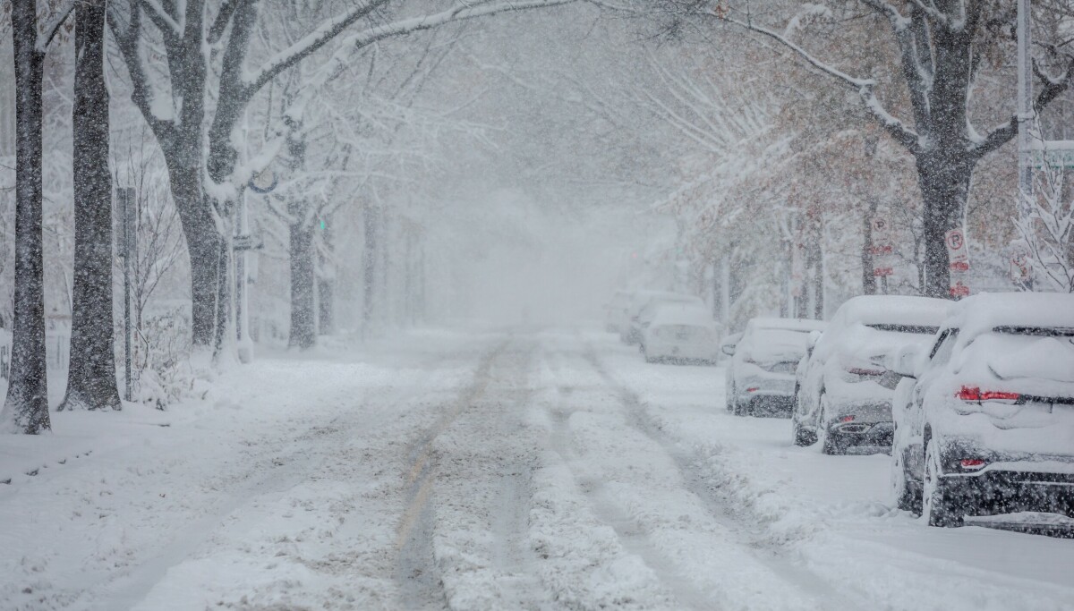 - Ingenting som minner om jul - Dagbladet