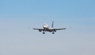 Teori vekker oppsikt